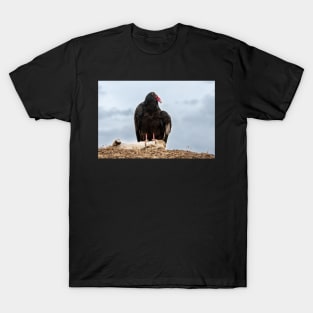 Turkey buzzard T-Shirt